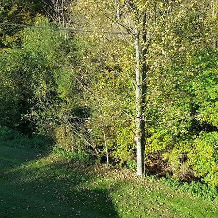 Feriehus La Scierie Lubine