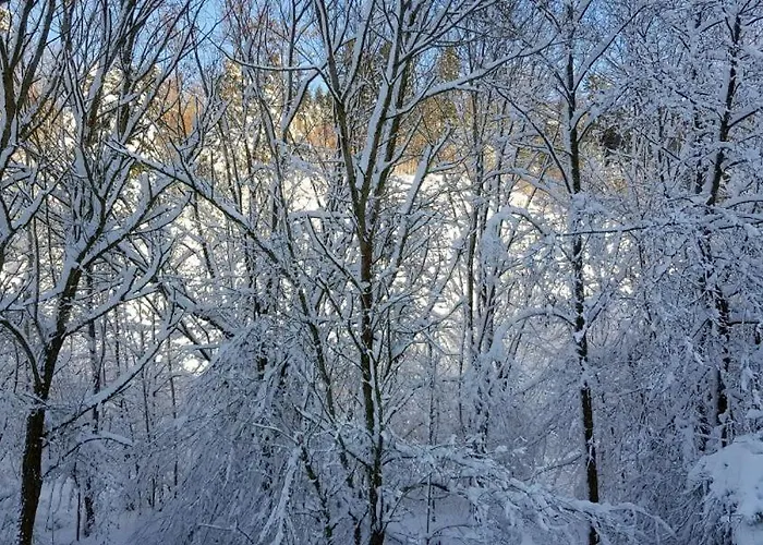 Hébergement de vacances La Scierie