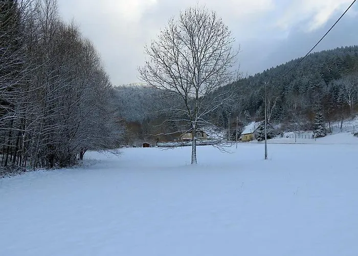 Hébergement de vacances La Scierie *