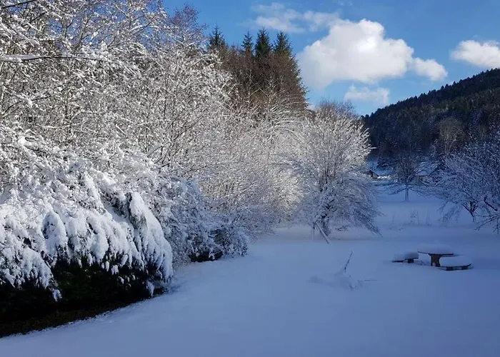 Hébergement de vacances La Scierie