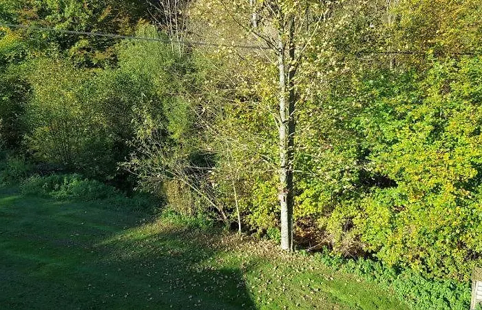 Semesterbostad La Scierie Lubine